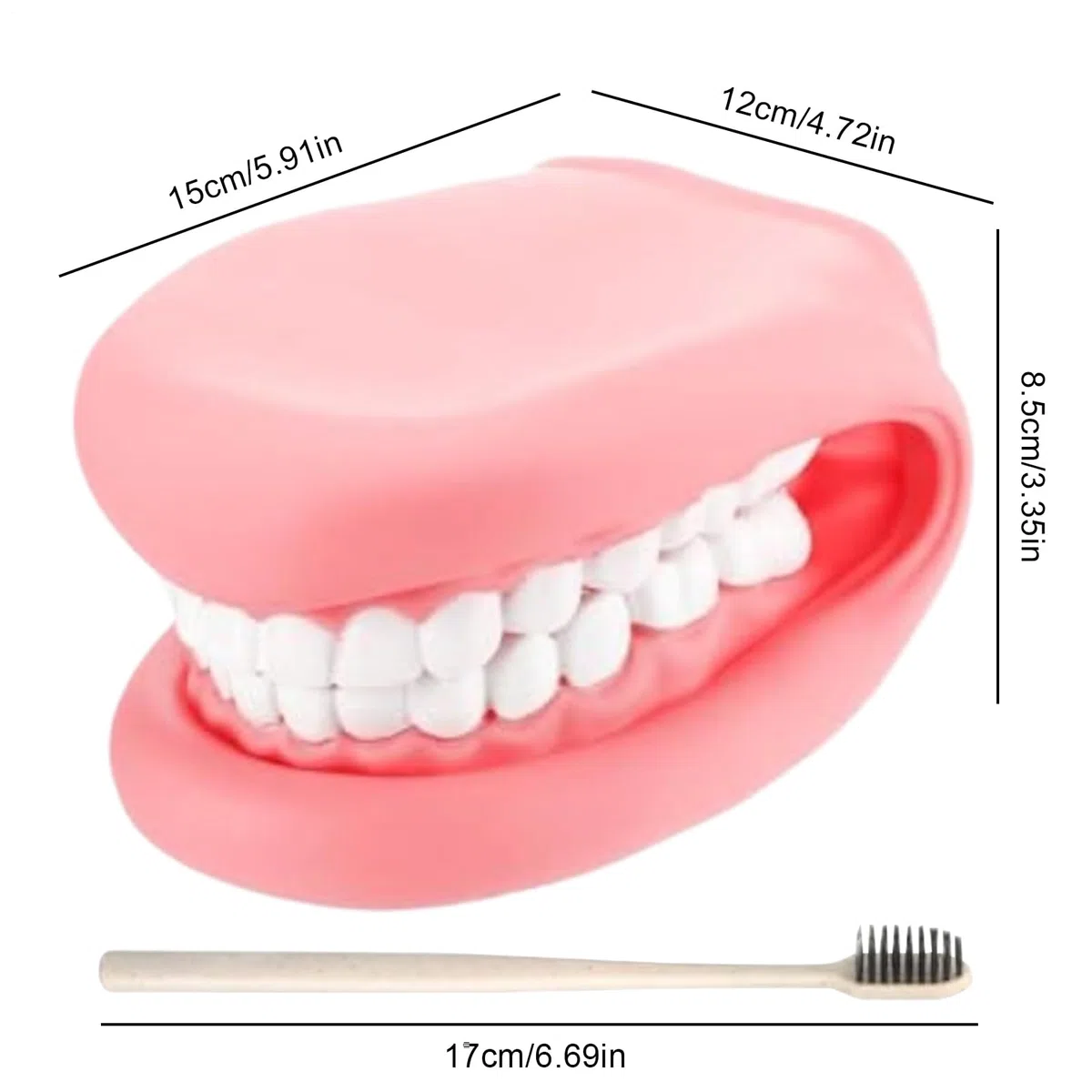 Marionetta Bocca Con Lingua – Strumento Educativo Logopedia Igiene Orale & Dentale | Modello Mascellare Mobile In PVC Con Spazzolino Per Bambini Asilo Apprendimento Domestico