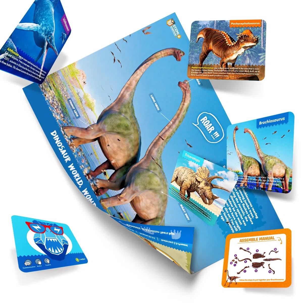 EGGBOX Kit di scavo di scheletro di dinosauro per bambini, set 2 in 1 di scavo e pittura di Brachiosaurus, giocattolo di dinosauro per bambini, esperimenti di paleontologia e fossili