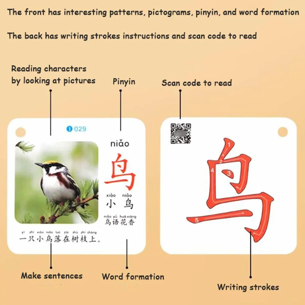 Mandarin Flash Cards Caratteri Cinesi Sight Words Learning Flashcards Mandarin Chinese Pinyin Stroke Fase per Principianti Cinesi