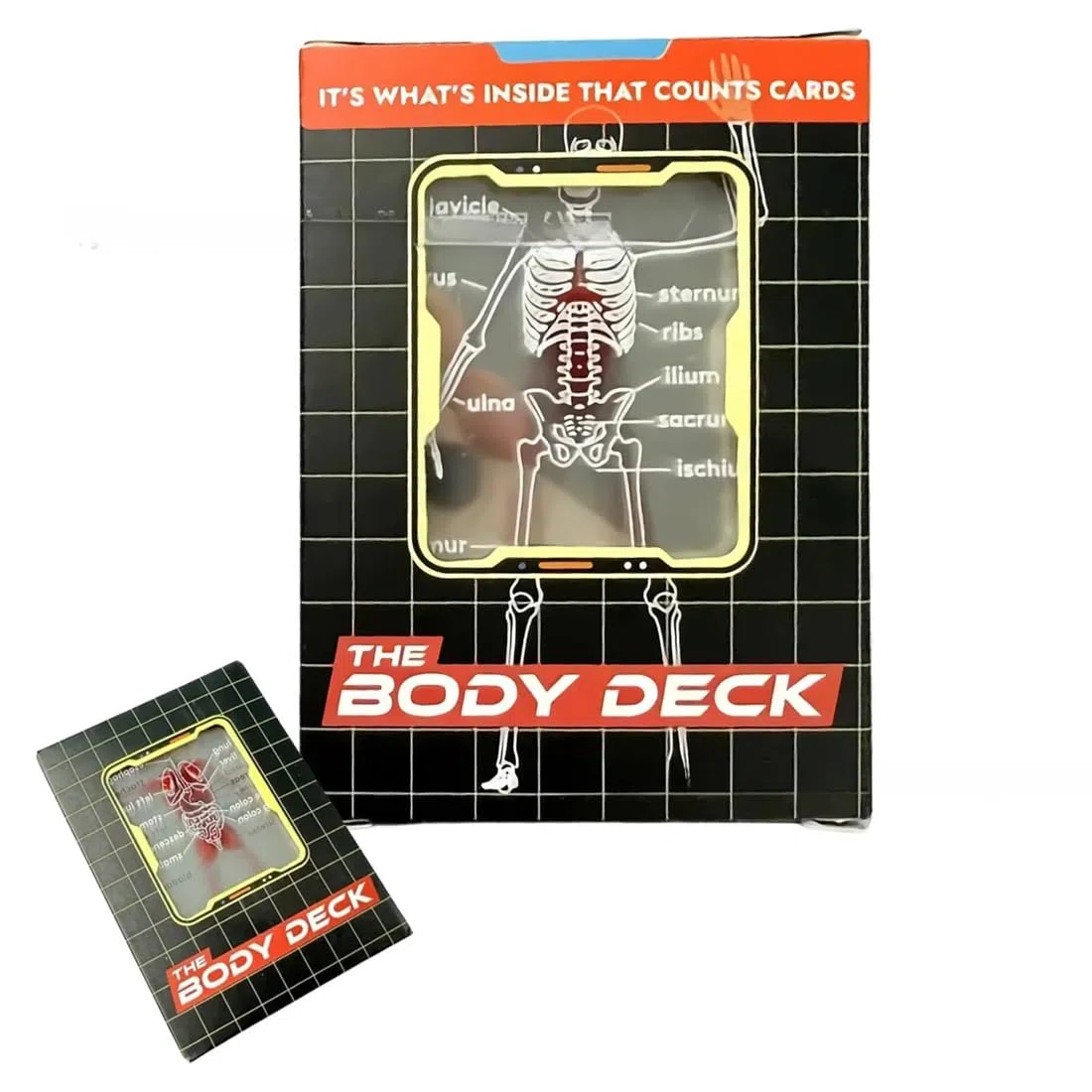GXGM 1 Pezzi Funny Transparent Human Anatomy Playing Card,The Body Deck,Unique Transparent 3D Image of The Human Anatomy Playing Cards,for Card Collectors.