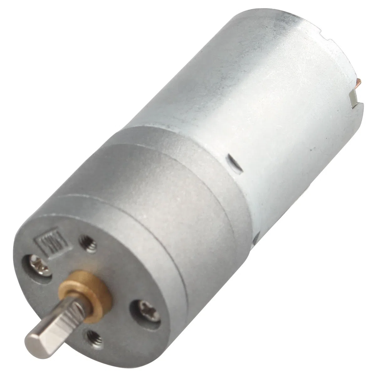 DC 6V 120 RPM Alta Coppia Riduttore elettrico motoriduttore scatola ingranaggi del motore elettrico 25mm