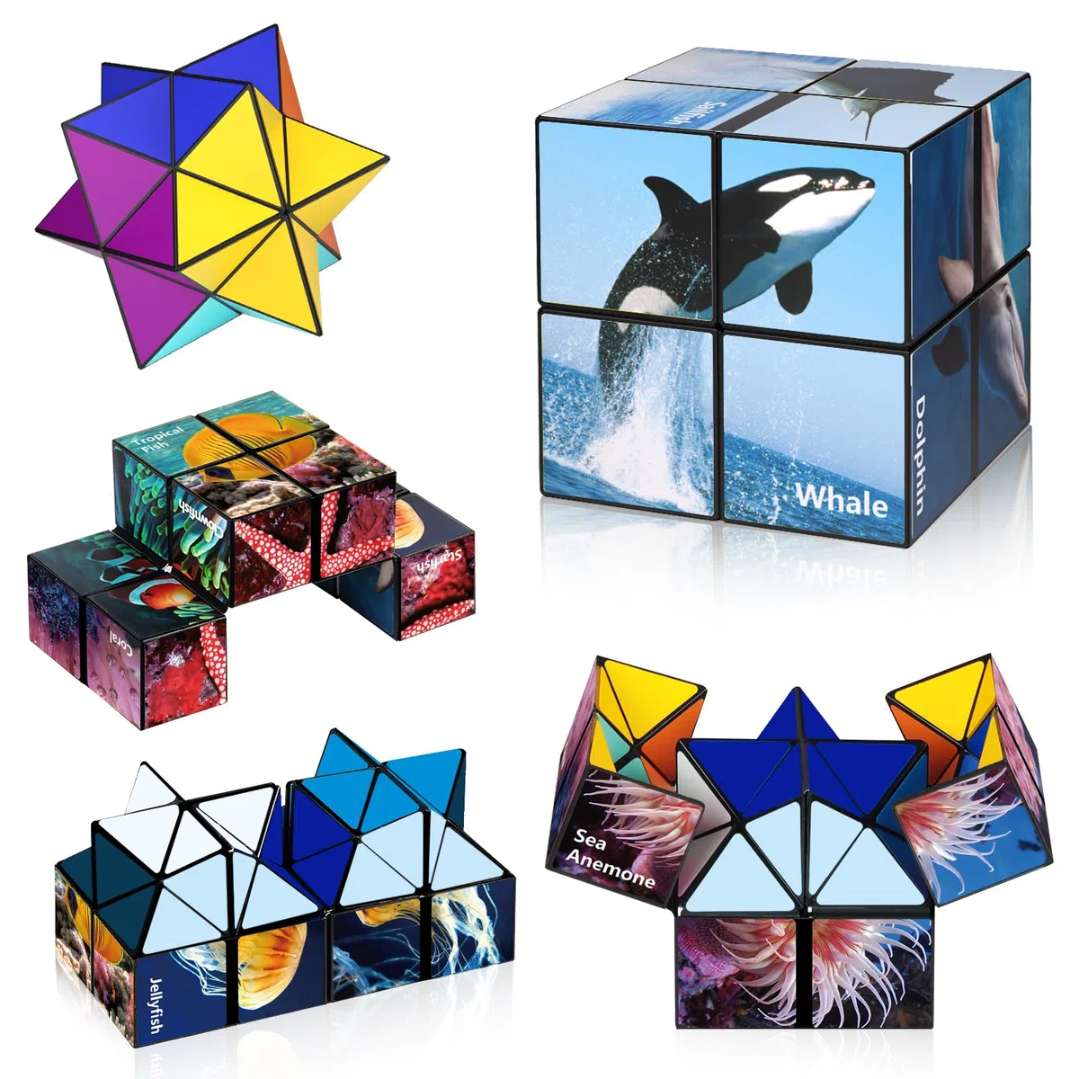 Euclidean Cube Star Cube 2 in 1 Yoshimoto Cube per bambini e adulti, giocattolo regalo per ragazzi e ragazze età 8-12 anni