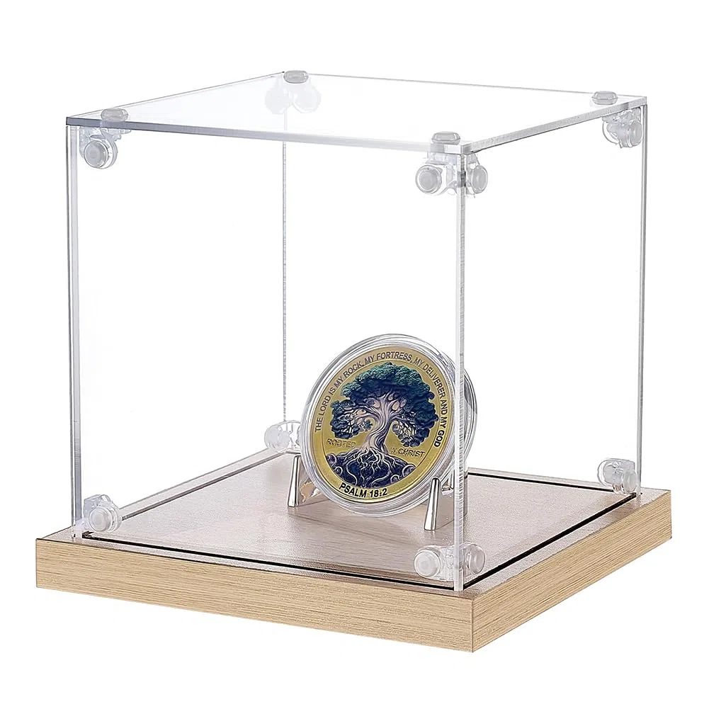 PH PandaHall Espositore per Monete da Collezione Portamonete in Acrilico Trasparente, Custodia Singola per Monete Supporto per Gioielli Medaglioni Pietre Foto e Souvenir, 10x10x10cm