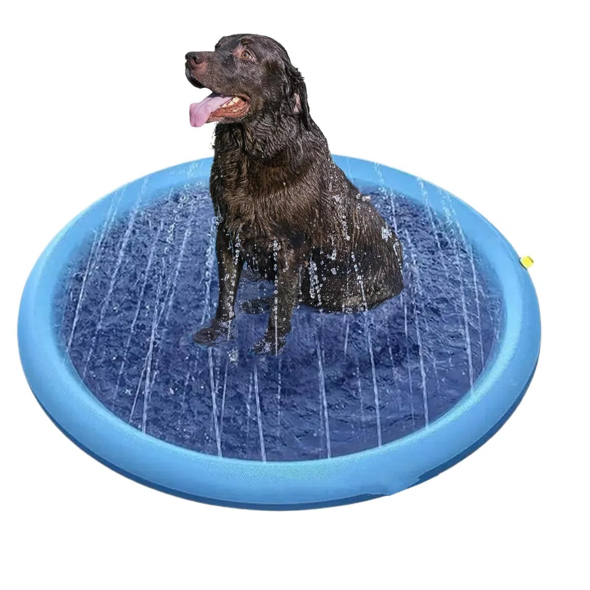 Tappetino Splash Per Cani | Tappeto gioco estivo,Tappeto Gioco Fontana Estiva | per Bambini Bambine Prescolari Famiglie Giardino Asilo Campeggio Spiaggia Patio Giardino Prato