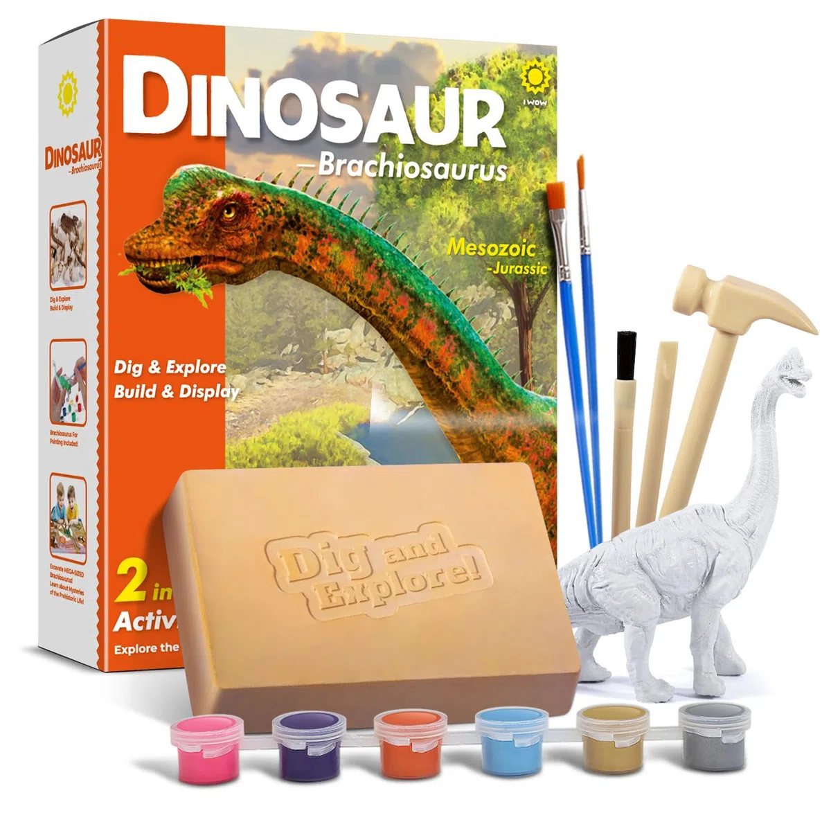 EGGBOX Kit di scavo di scheletro di dinosauro per bambini, set 2 in 1 di scavo e pittura di Brachiosaurus, giocattolo di dinosauro per bambini, esperimenti di paleontologia e fossili
