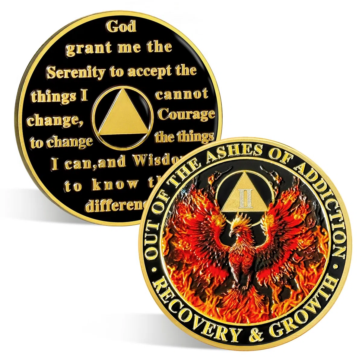 Phoenix Sobriety Chip di 2 anni, regalo di recupero anonimo per alcolisti per uomini e donne