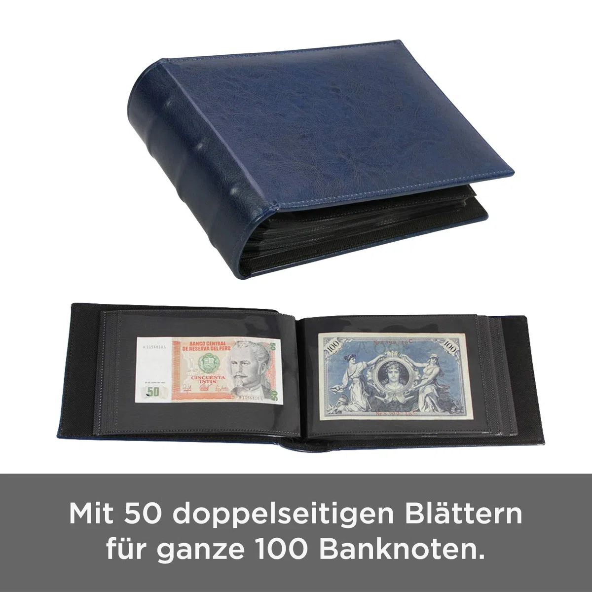 SAFE 4139 Album per banconote blu | Album da collezione con 50 pagine per 100 banconote | 215 x 150 x 58 mm