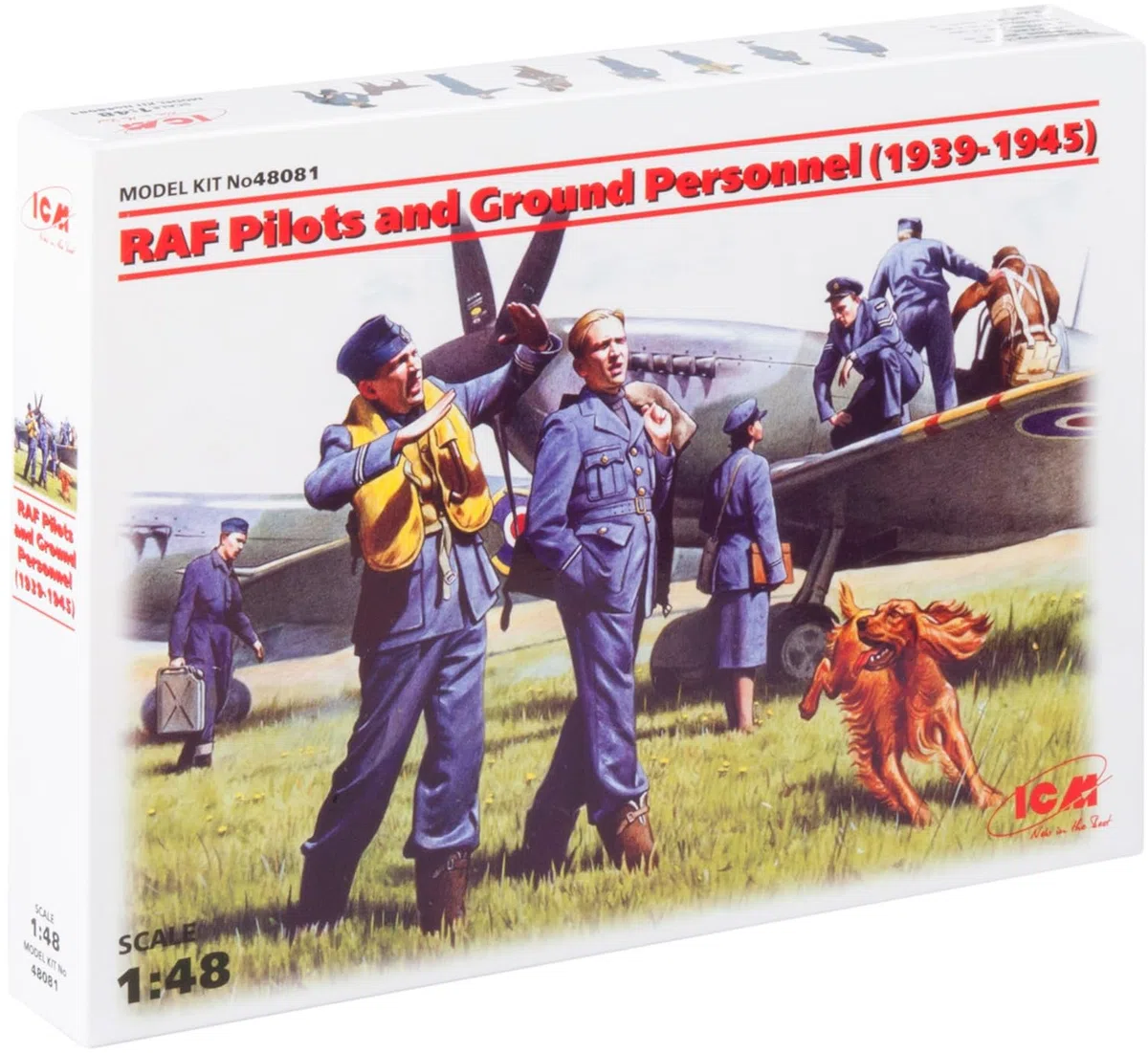 ICM 48081 - RAF Pilots und Ground Personnel, 1939-1945, colore: Nero