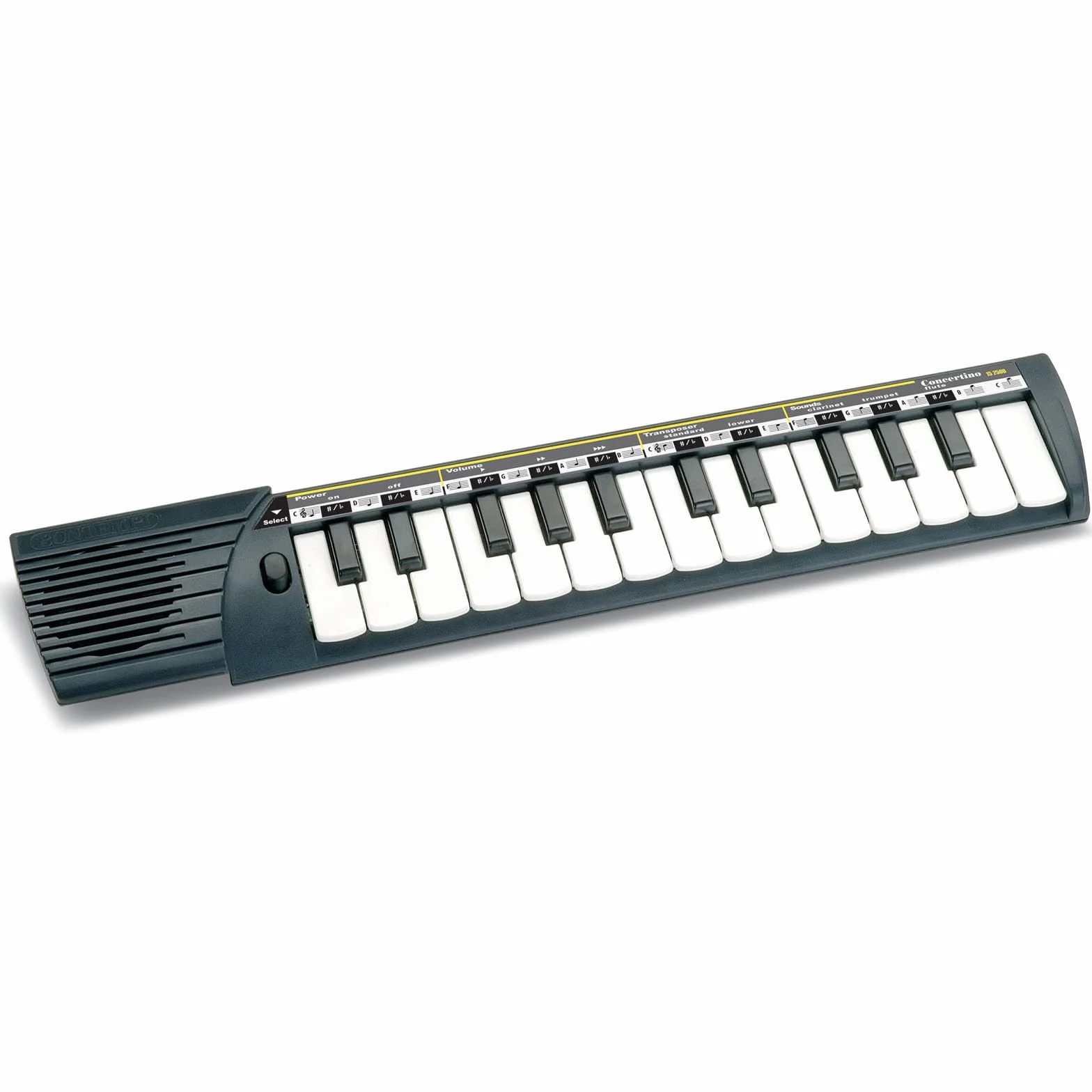 Bontempi 15 2500 Auto Concertina a 25 Tasti con Passo Medio per Un'Esperienza Musicale Intima e Affascinante, 400x72x35 mm, Multicolore, Media
