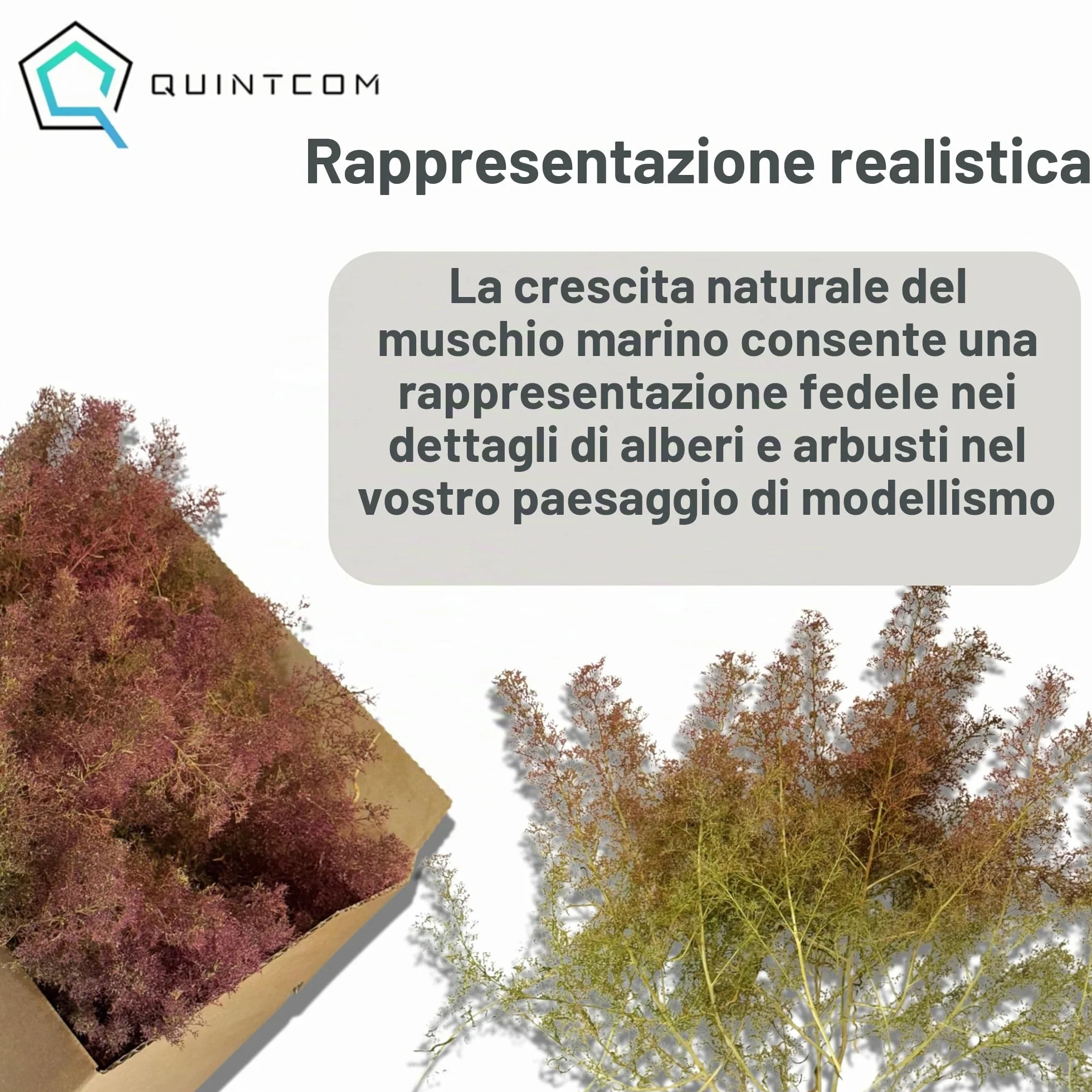Sea Moss per modellismo, materiale di piantagione per alberi e cespugli nei boschi di modellismo, cartone 30 cm x 20 cm x 14 cm