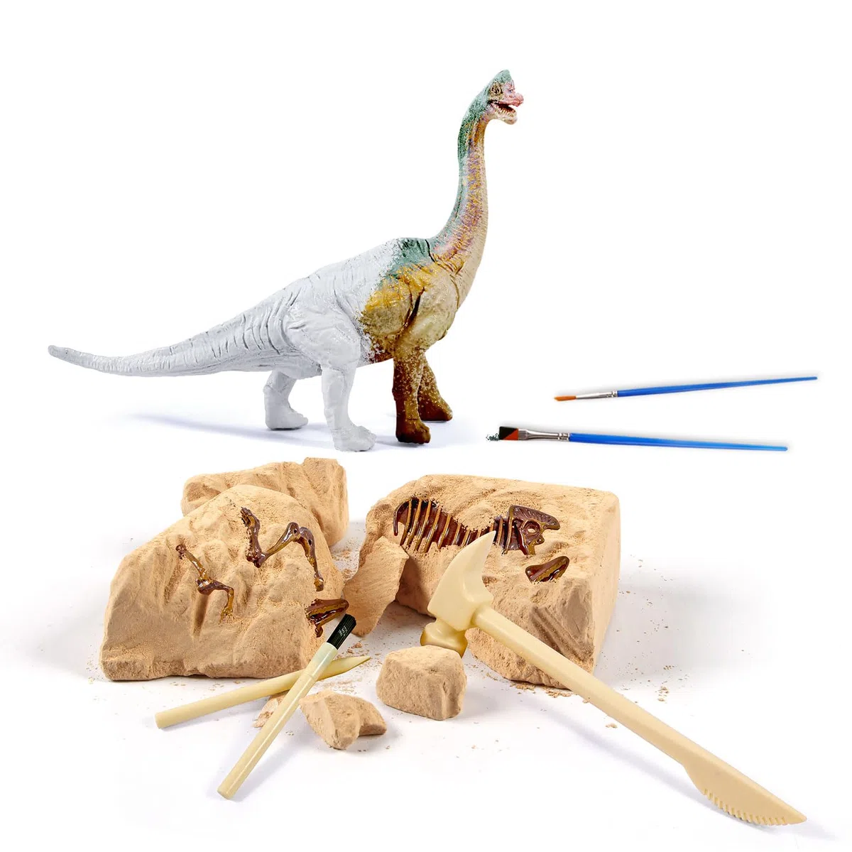 EGGBOX Kit di scavo di scheletro di dinosauro per bambini, set 2 in 1 di scavo e pittura di Brachiosaurus, giocattolo di dinosauro per bambini, esperimenti di paleontologia e fossili