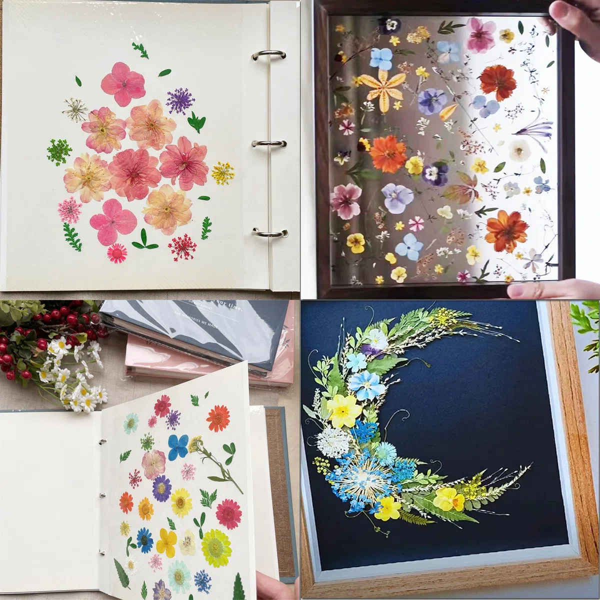 Carta assorbente per pressa per fiori, 20 fogli 20 x 26 cm, carta per erbario grande, altamente assorbente e riutilizzabile (20 x 26 cm)