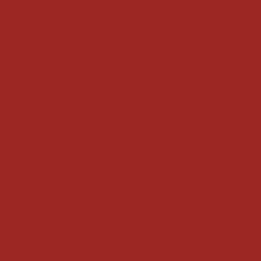 Vallejo : Premium Airbrush Paint : 200ml : Bright Red