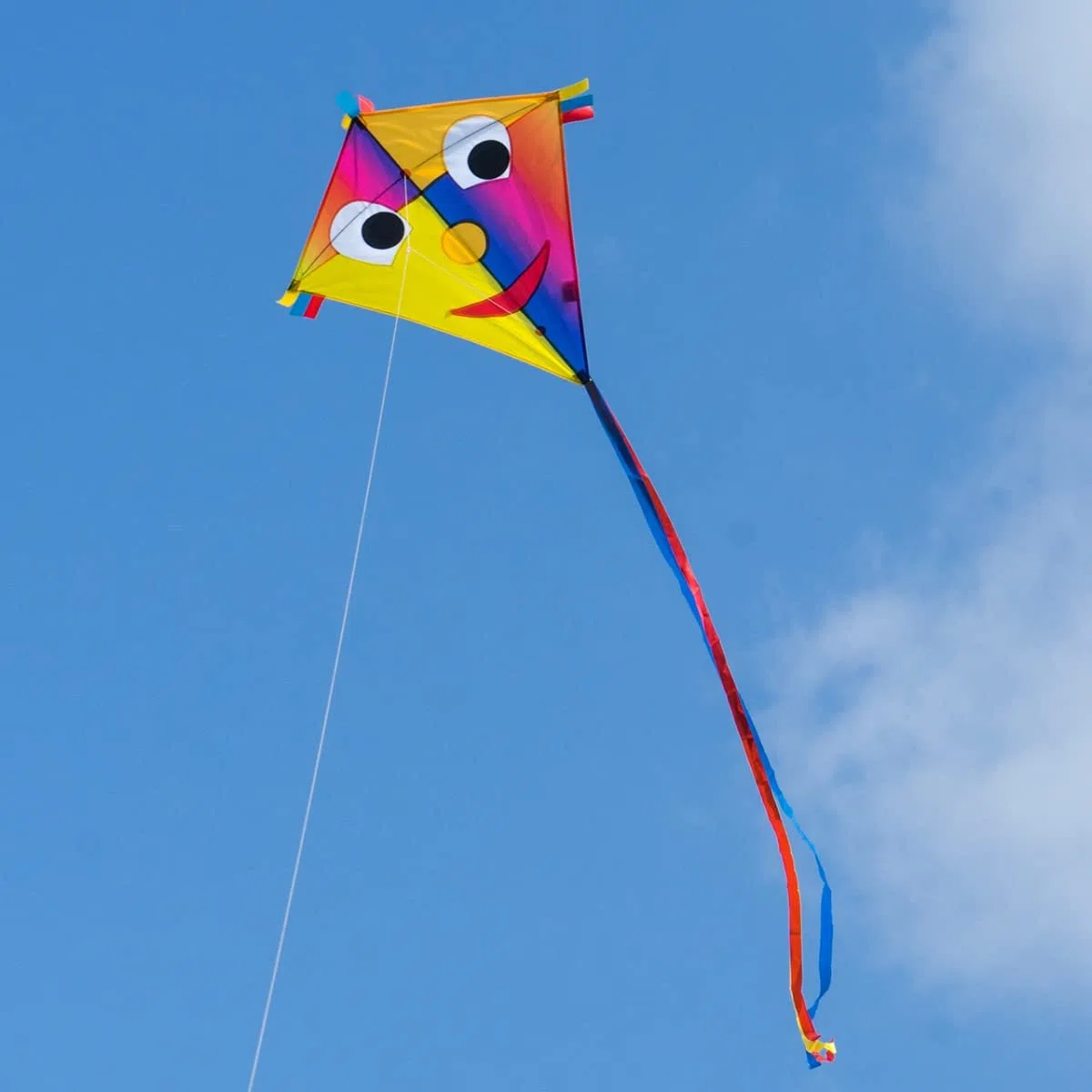 CIM Happy Eddy - Drago singolo per bambini dai 3 anni in su, 65 x 72 cm, con filo da 80 m e coda di fiocco