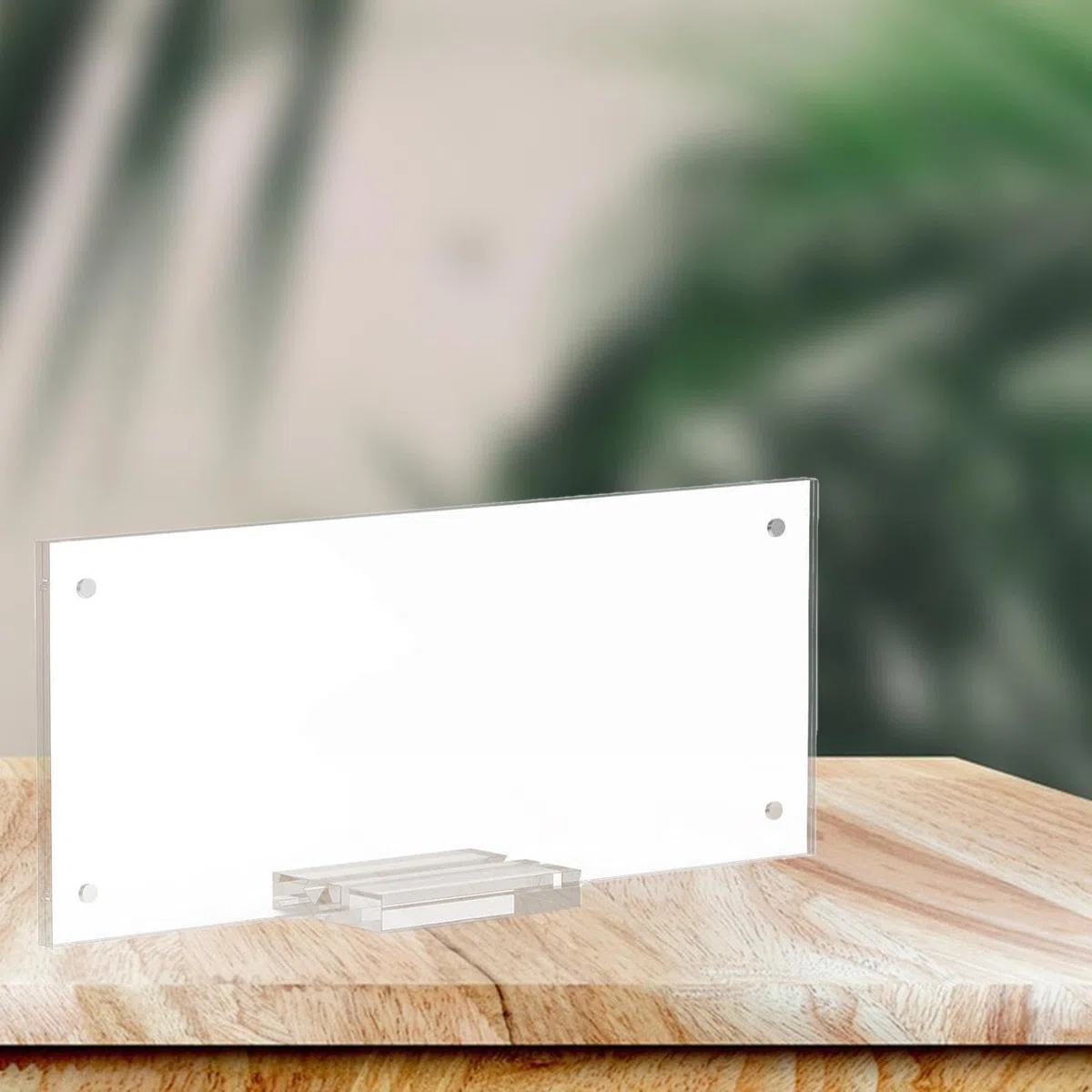 F Fityle Cornice per banconote da un dollaro, espositore per banconote, protezione per biglietti, tavolo da collezione, cornice per banconote da collezione,