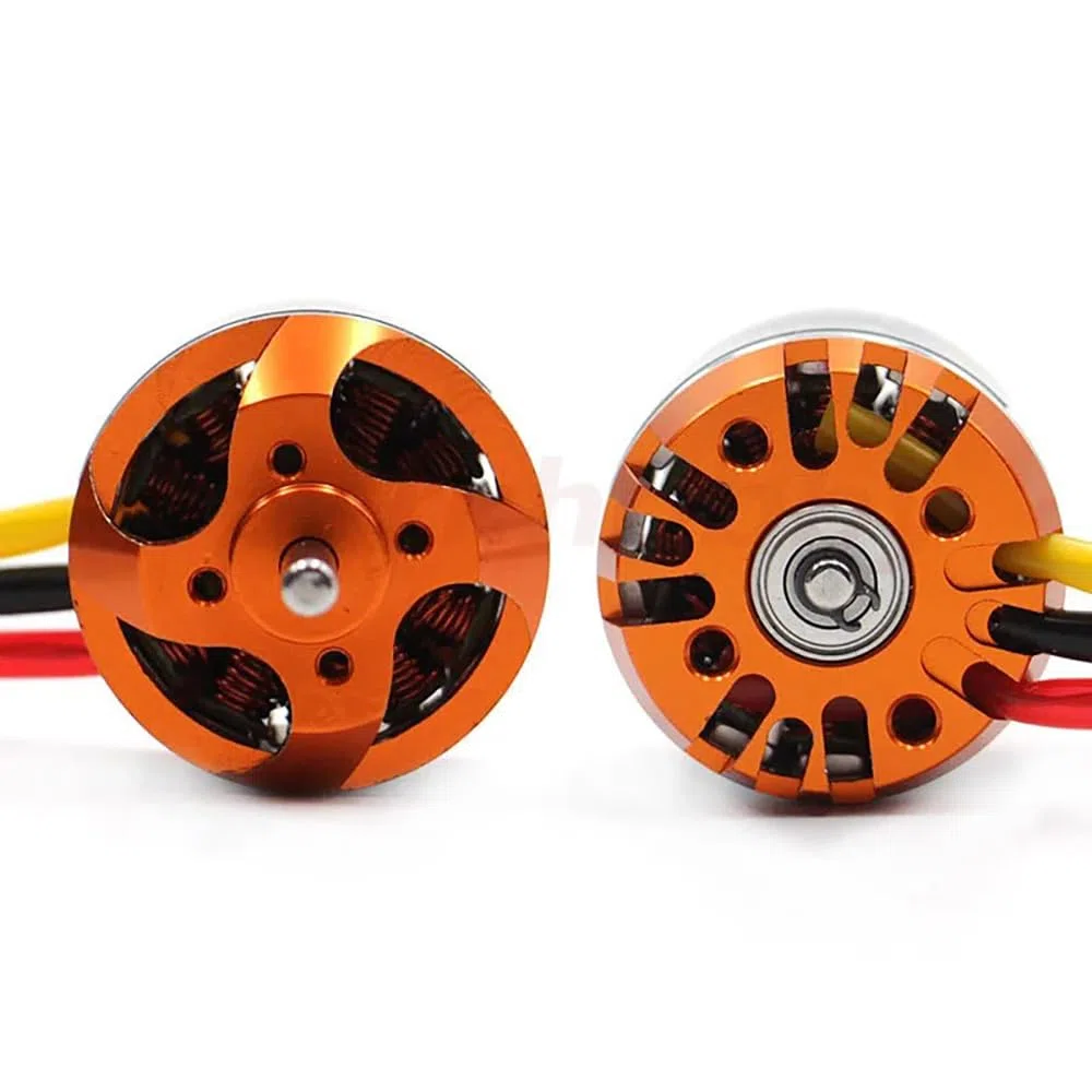 SPARKHOBBY DYS D2830 2830 750KV 850KV 1000KV 1300KV 2-4S Lipo Motore Brushless 3.175mm Albero 52g Oro e Argento per RC FPV Racing Droni (1PC D2830 1000KV)