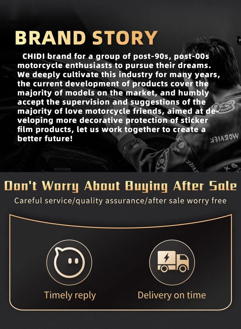 per Honda ADV350 2025 | Kit adesivi per carenatura, decalcomanie per zona della testa con motivi personalizzati, resistenti ai raggi UV, taglio di precisione (stile 6 argento opaco)