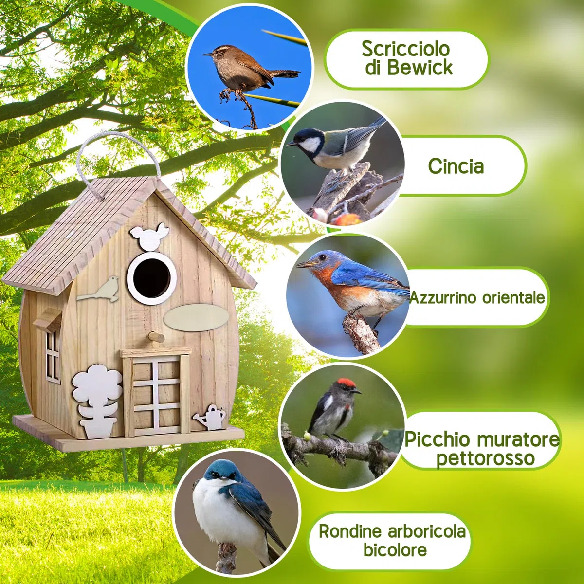Kit di costruzione casetta per uccelli per bambini, casetta per uccelli da colorare, costruire e decorare cassette nido, set di fai-da-te in legno, kit DIY per bambine, bambini e bambini piccoli