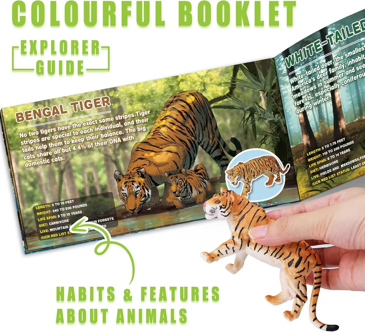 Confezione da 13 Giocattoli Animali Selvatici con Libretto Educativo e Scatola Regalo, Figure Realistiche di Animali Safari per Bambini, Figure in Plastica per Bambini 1–3 Anni, Regalo per Feste di Co