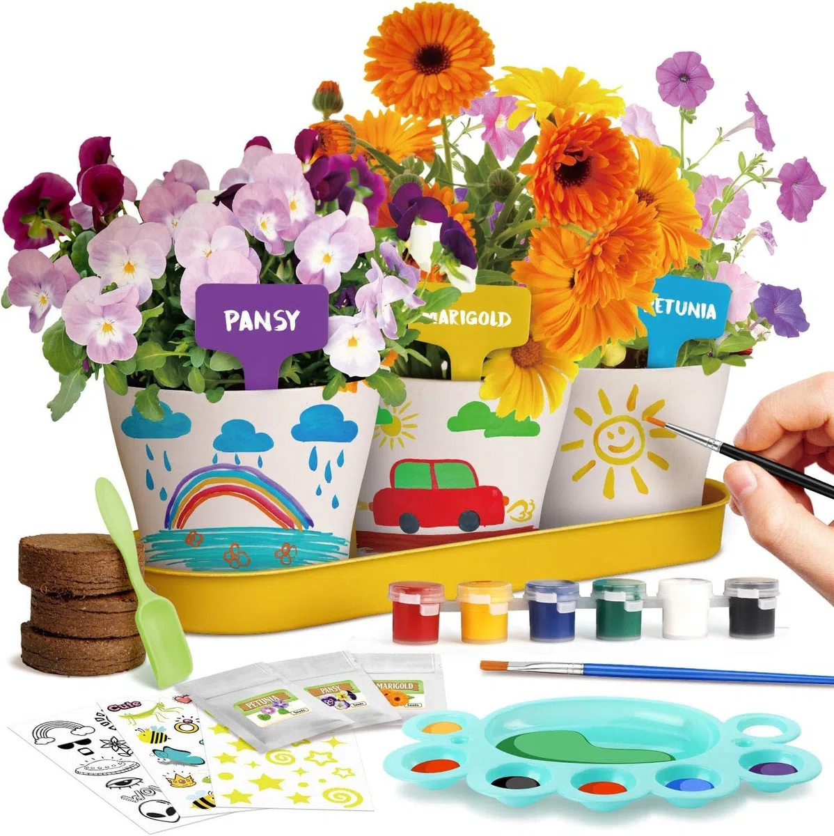 Dr.Daz Kit Pittura e Pianta Fiori per Bambini, completo diy kit coltivazione fiori, Giocattolo STEM, Regalo di Compleanno per Ragazze e Ragazzi 6-13 Anni