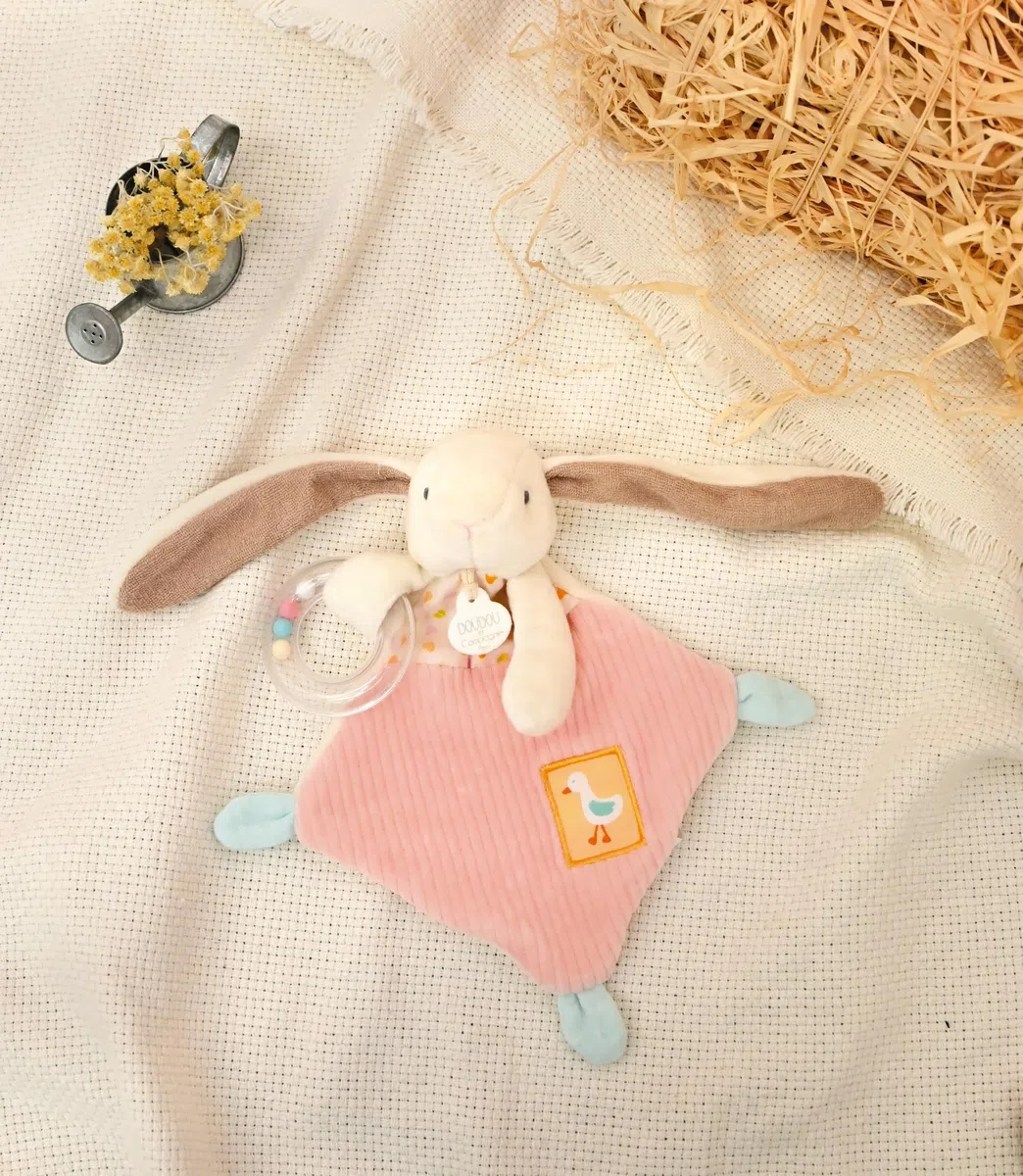 Doudou et Compagnie - LAPIN CIBOULETTA - Doudou coniglio sonaglio rosa - Per bambini dalla nascita - 21 cm - Con confezione regalo da regalare - Idea regalo per ragazze e ragazzi - DC4206