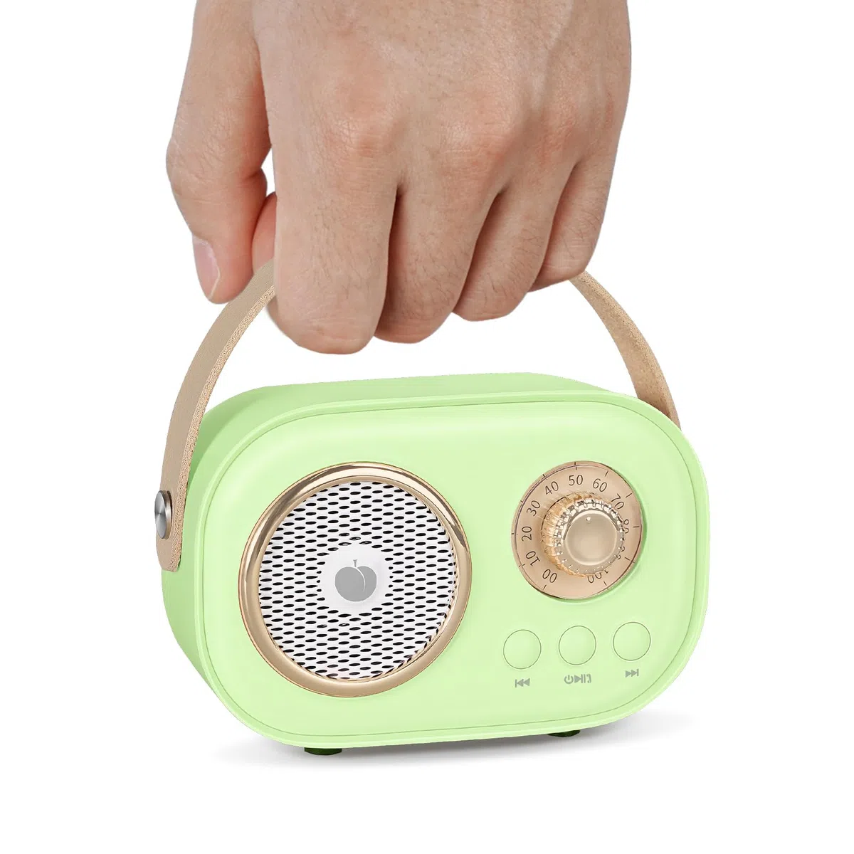 PRUNUS C20 Karaoke con Microfono per Bambini e Adulti, Microfono Bluetooth Cassa Karaoke con 2 Microfoni Cambia Voce per Cantare in Famiglia,Viaggi,Feste,Regali Creativi per Ragazzi e Ragazze（Verde）