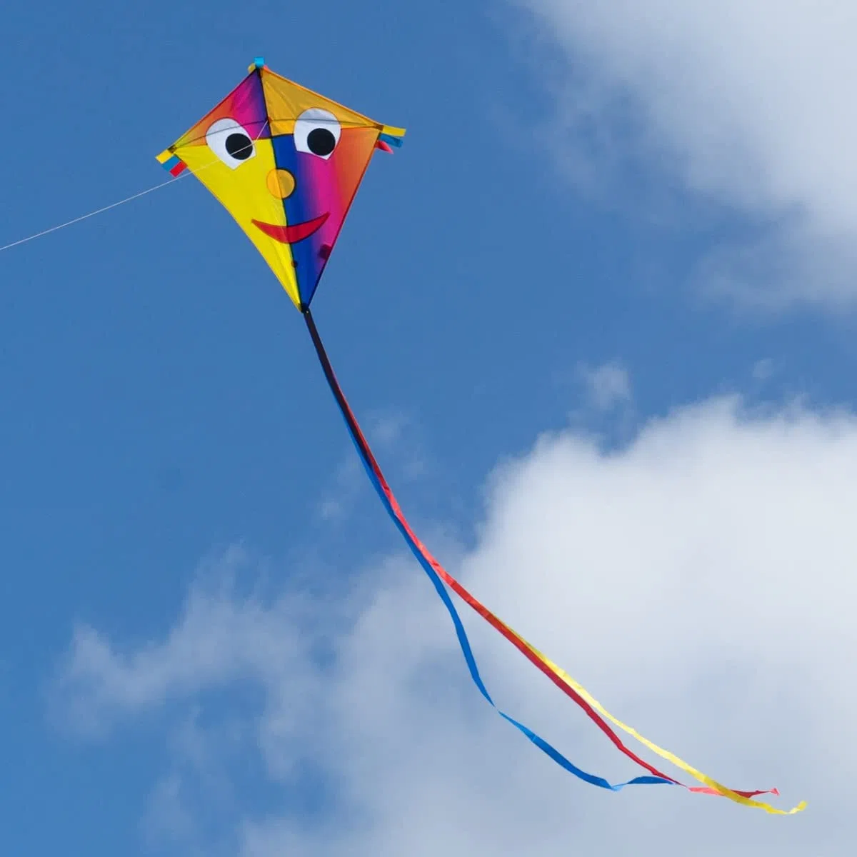CIM Happy Eddy - Drago singolo per bambini dai 3 anni in su, 65 x 72 cm, con filo da 80 m e coda di fiocco