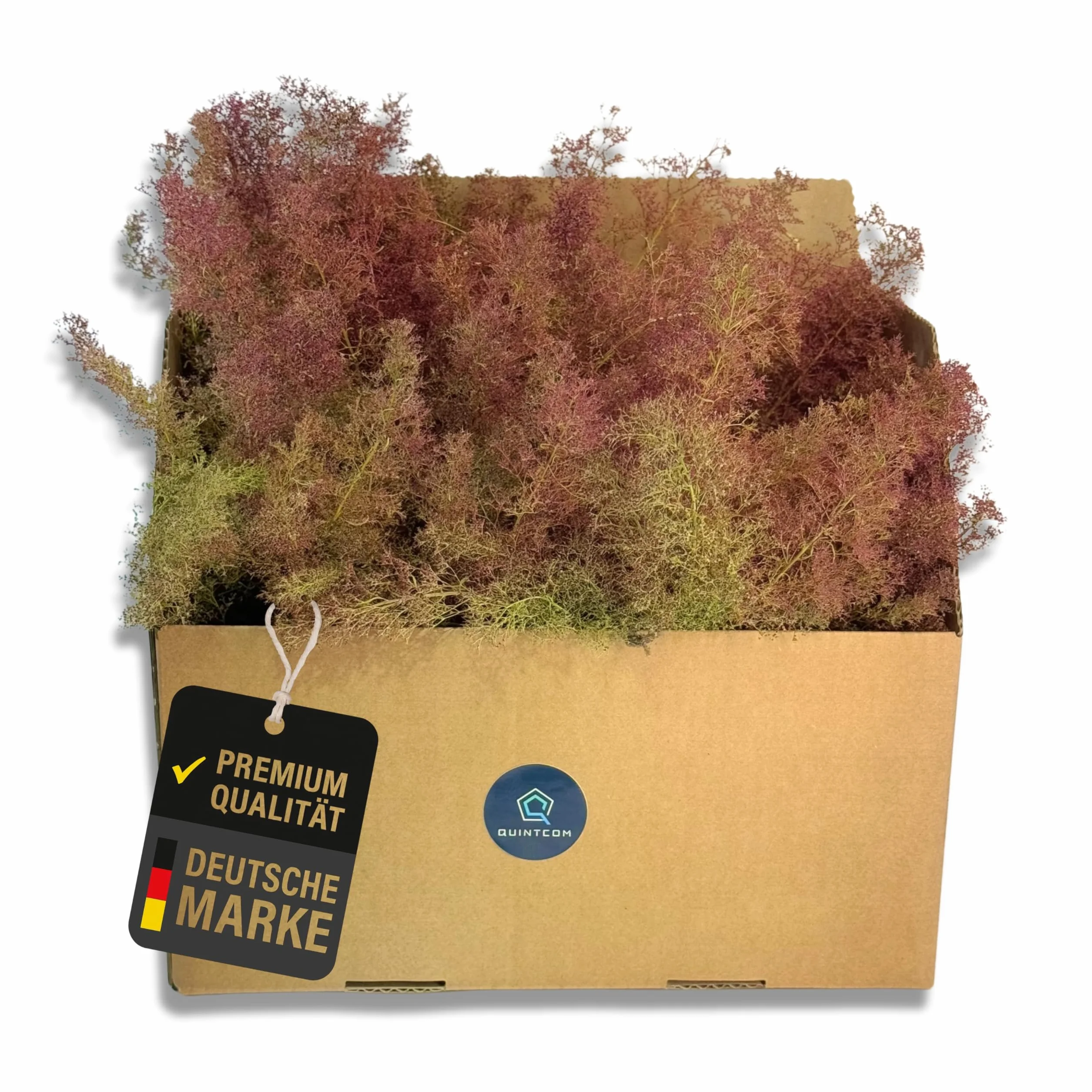 Sea Moss per modellismo, materiale di piantagione per alberi e cespugli nei boschi di modellismo, cartone 30 cm x 20 cm x 14 cm