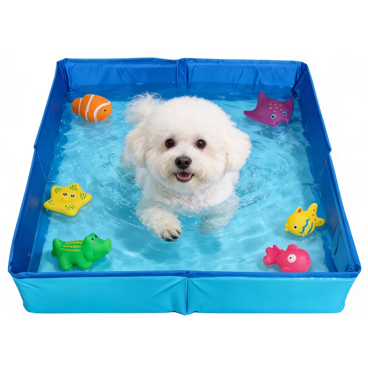 Piscina pieghevole per gatti e cani di piccola taglia, 50 x 50 x 10 cm, con 6 giocattoli per pesci, mini piscina per bambini, piccola piscina estiva per gatti, animali domestici (blu)