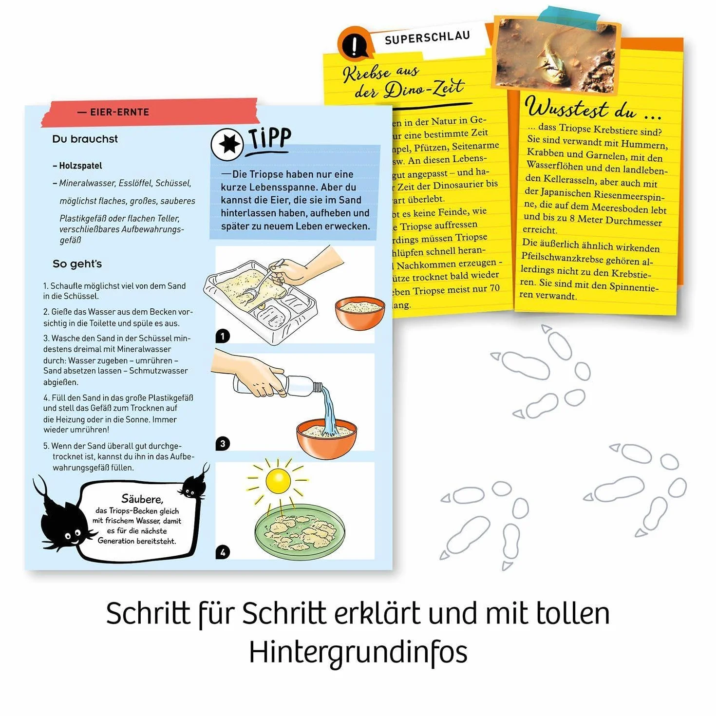 Kosmos Fun Science 637231 - Kit per esperimenti per Principianti e Bambini a Partire dagli 8 Anni