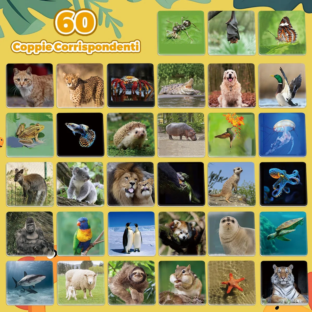 Tigvio Memory - Memory Gioco per Bambini, Divertente Memoria per Adulti e Bambini con 60 paia carte da 5.2x5.2 cm, Adatto come Regalo per Bambini dai 3 Anni e Animali e Appassionati Della Natura